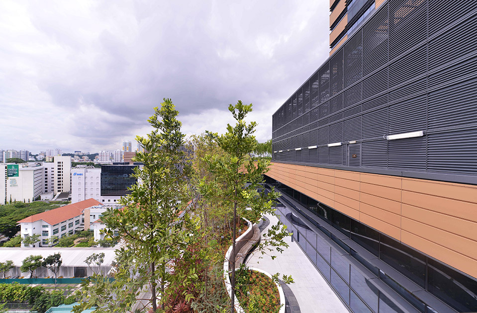 The National Cancer Centre Singapore