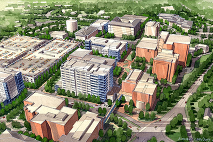 UNC Hospitals and UNC School of Medicine